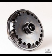 Ford (Mustang 8 inch) Gripper Differential - 31T